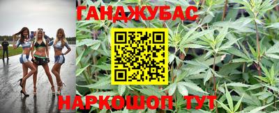 шишки Татарск