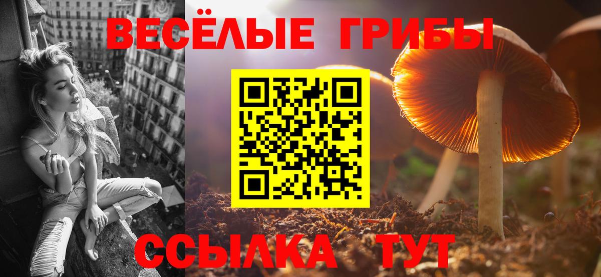 Михайловка  Галлюциногенные грибы MAGIC MUSHROOMS  Вход с VPN 