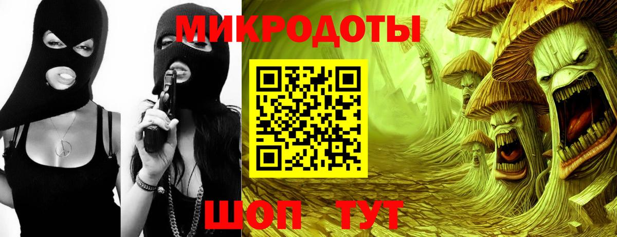 Галлюциногенные грибы мицелий Михайловка